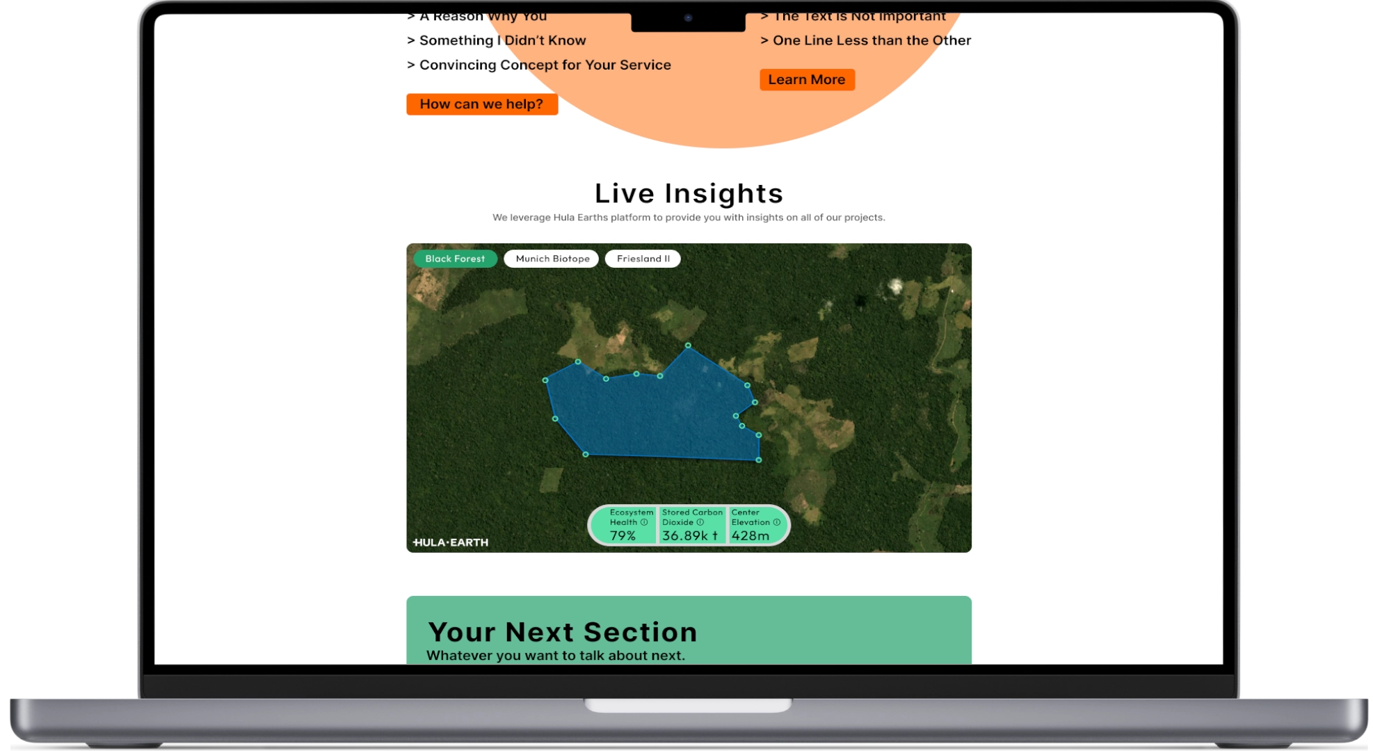 Live Insights on your Website