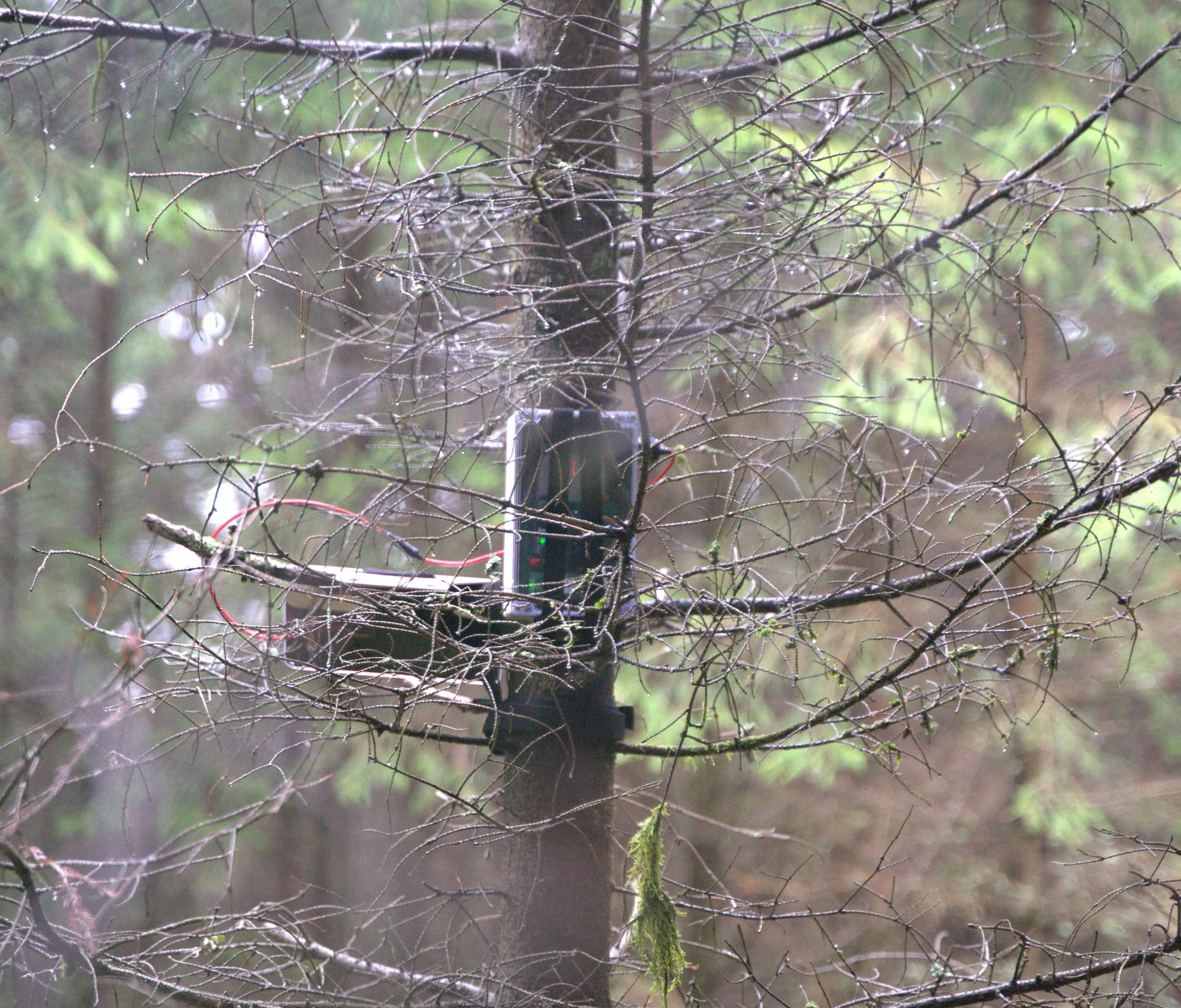 Hula Earth BioT for Measuring and Quantifying Biodiversity