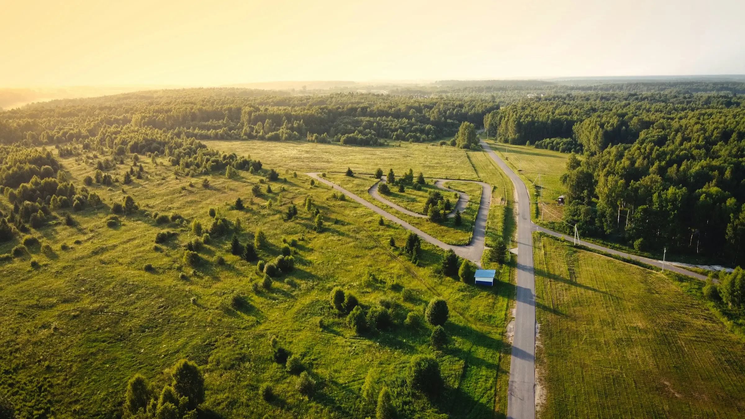 Meadow with Trees and Street