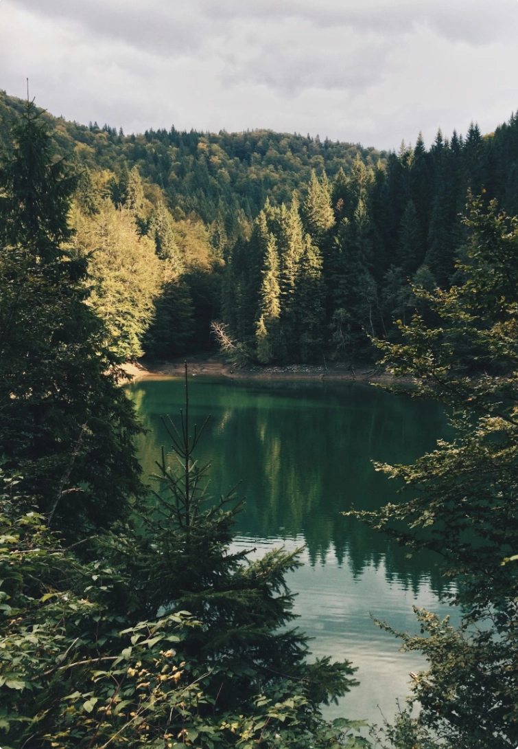 Planet Wild x Hula Earth