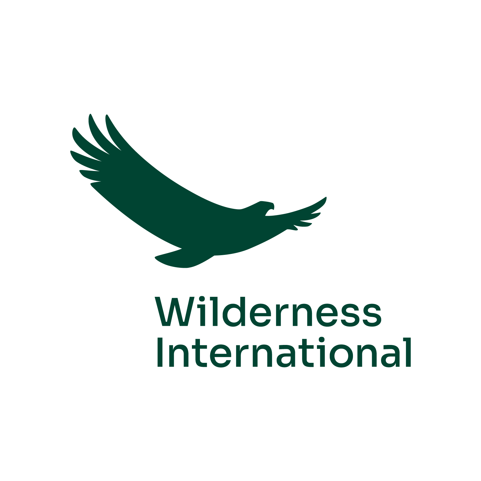 Logo Wilderness International